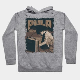 Pulp Vintage Radio Hoodie